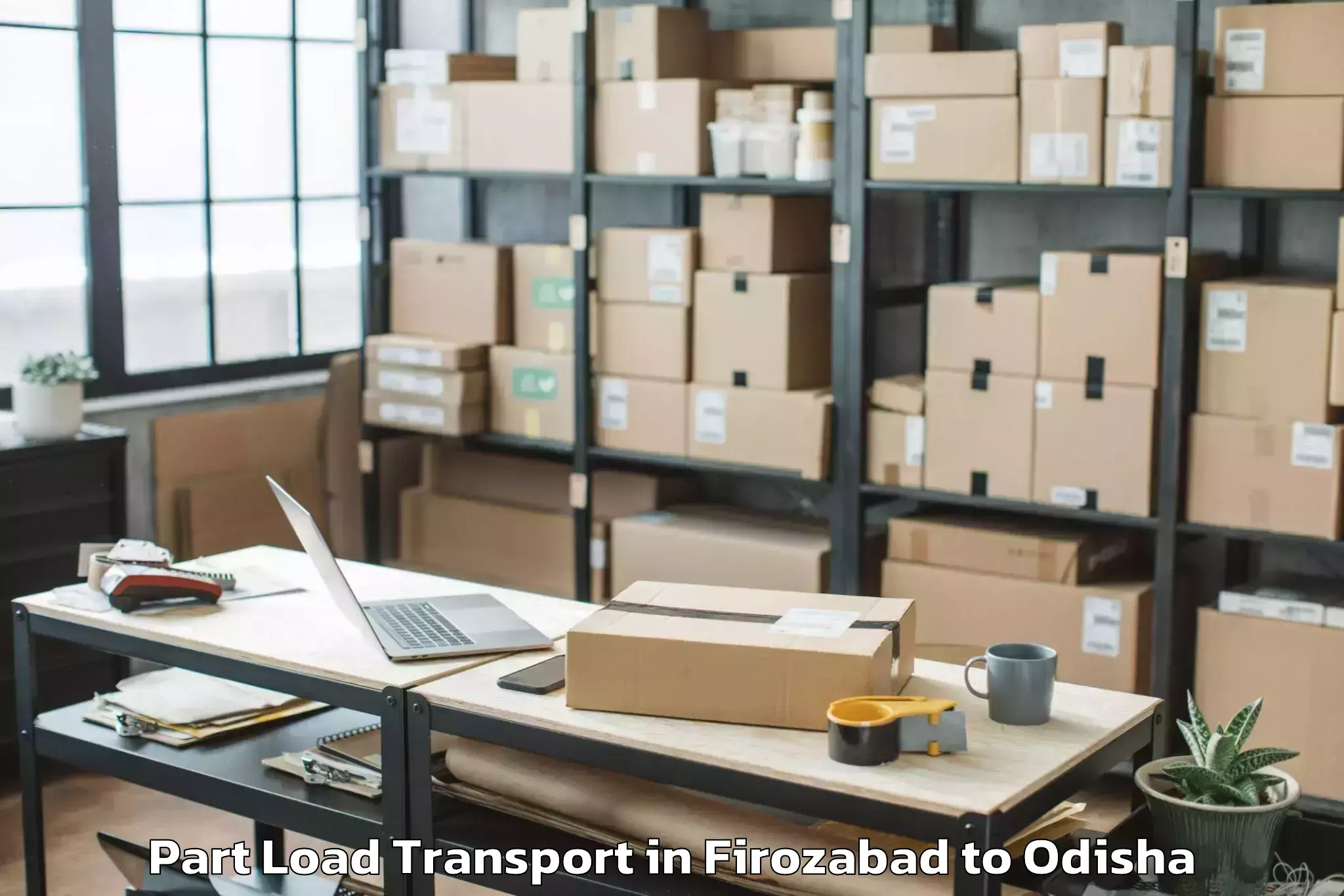 Professional Firozabad to Dharamgarh Part Load Transport